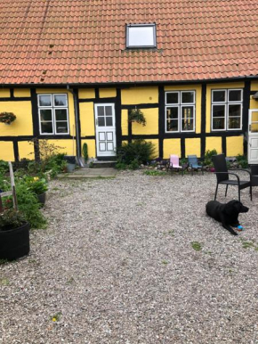 Stubbekøbingrooms Stubbekøbing